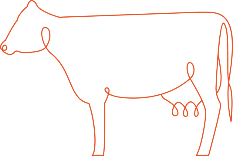 Orange Outline Image