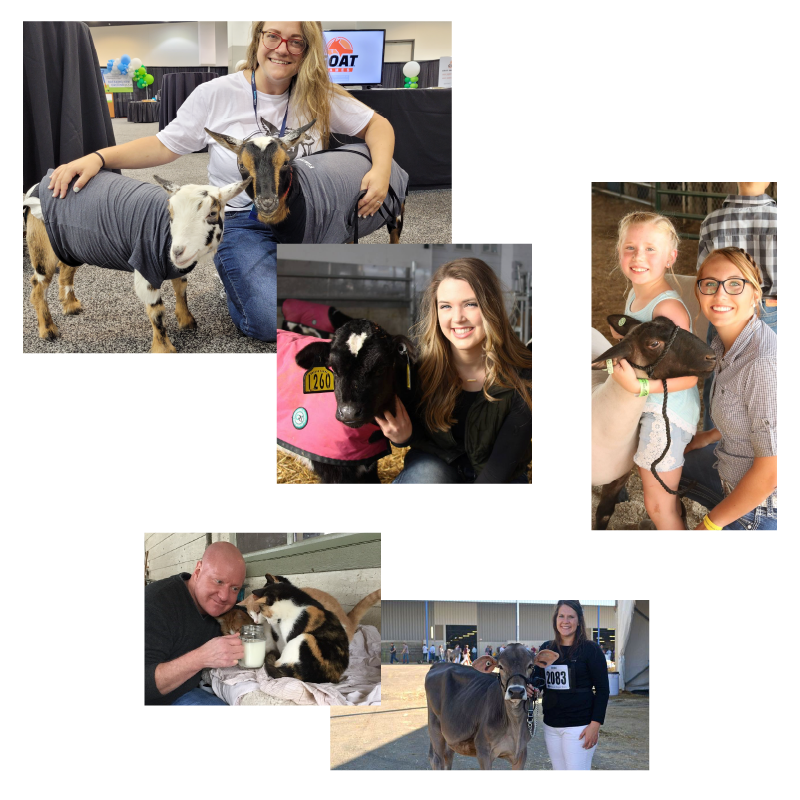 Filament team members with animals